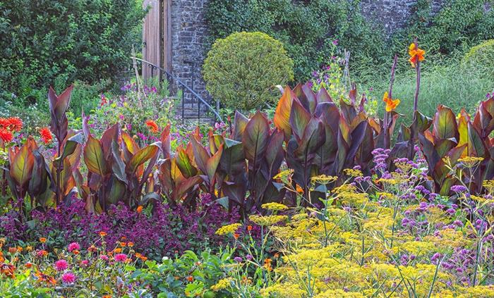 Kitchen Garden